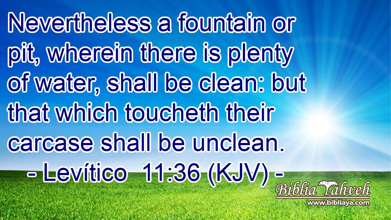 Nevertheless a fountain or pit, wherein there is plenty of water, shall be clean: but that which toucheth their carcase shall be unclean.