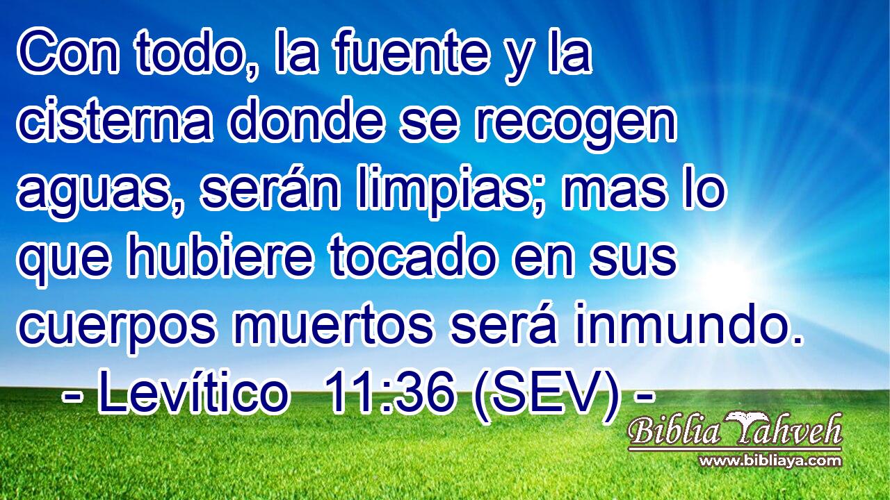 Con todo, la fuente y la cisterna donde se recogen aguas, serán limpias; mas lo que hubiere tocado en sus cuerpos muertos será inmundo.