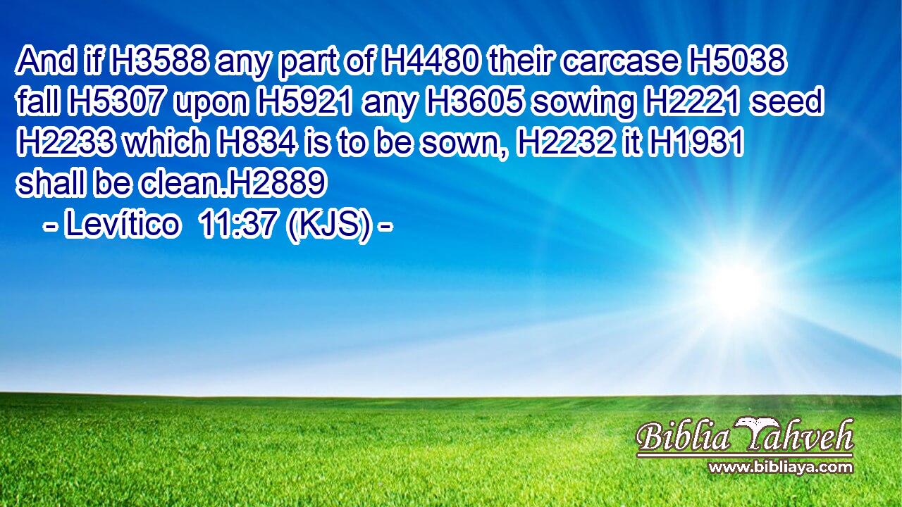 And if H3588 any part of H4480 their carcase H5038 fall H5307 upon H5921 any H3605 sowing H2221 seed H2233 which H834 is to be sown, H2232 it H1931 shall be clean.H2889