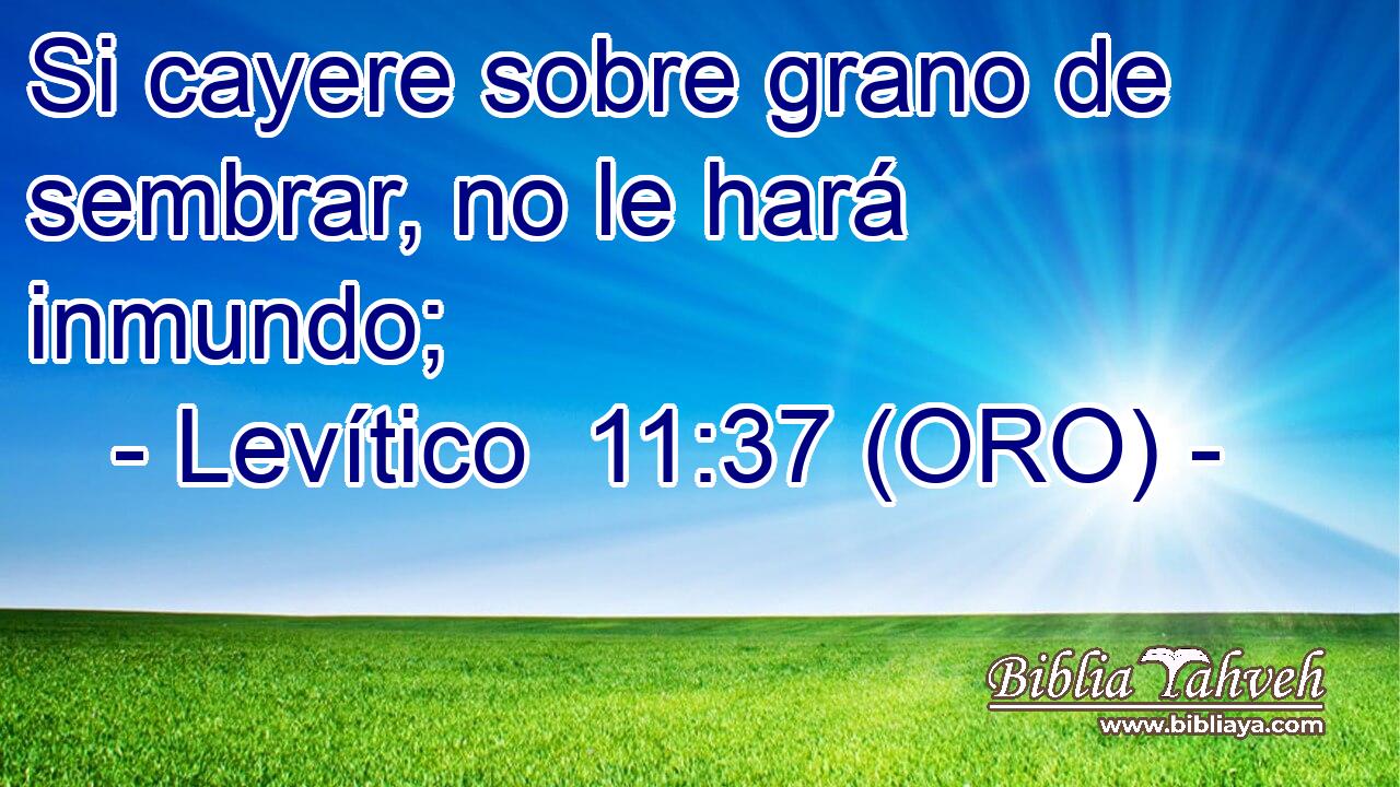  Si cayere sobre grano de sembrar, no le hará inmundo; 