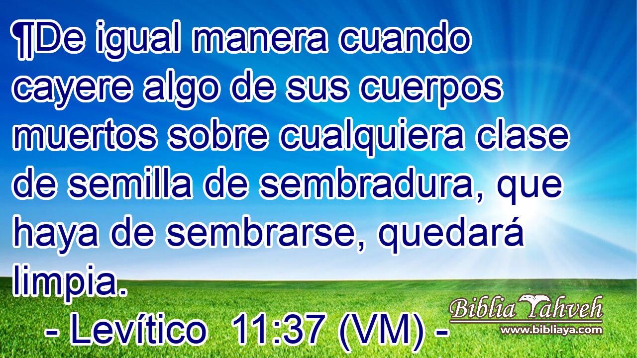  ¶De igual manera cuando cayere algo de sus cuerpos muertos sobre cualquiera clase de semilla de sembradura, que haya de sembrarse, quedará limpia. 