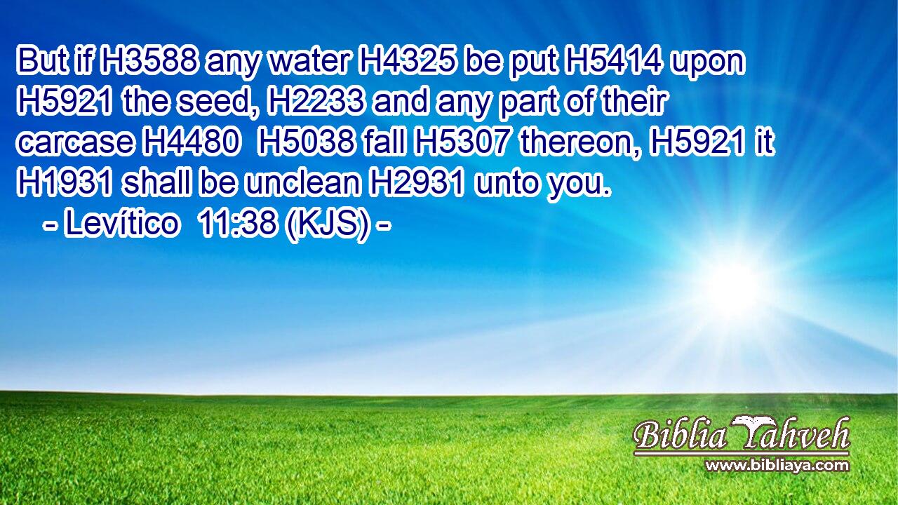 But if H3588 any water H4325 be put H5414 upon H5921 the seed, H2233 and any part of their carcase H4480  H5038 fall H5307 thereon, H5921 it H1931 shall be unclean H2931 unto you.