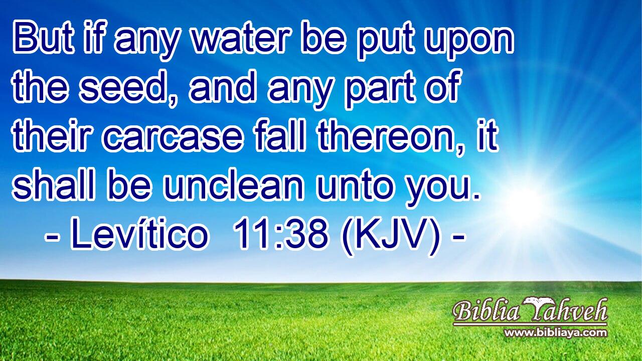 But if any water be put upon the seed, and any part of their carcase fall thereon, it shall be unclean unto you.