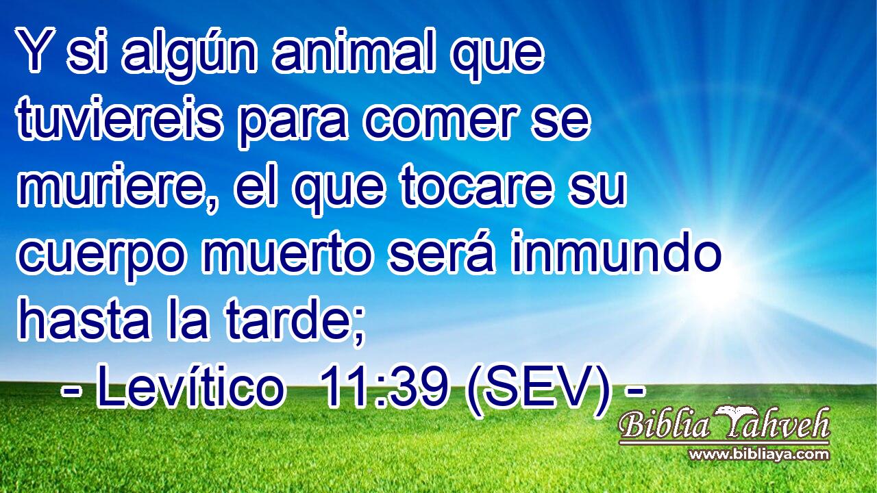 Y si algún animal que tuviereis para comer se muriere, el que tocare su cuerpo muerto será inmundo hasta la tarde;