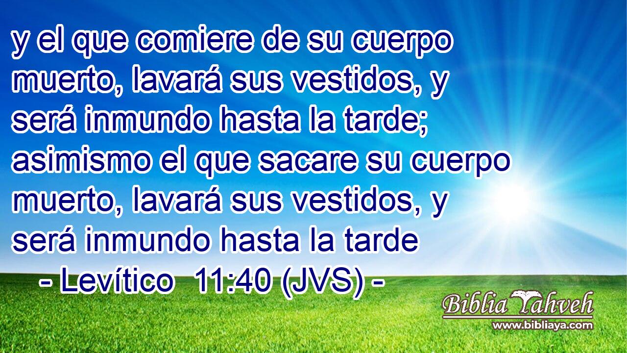 y el que comiere de su cuerpo muerto, lavará sus vestidos, y será inmundo hasta la tarde; asimismo el que sacare su cuerpo muerto, lavará sus vestidos, y será inmundo hasta la tarde