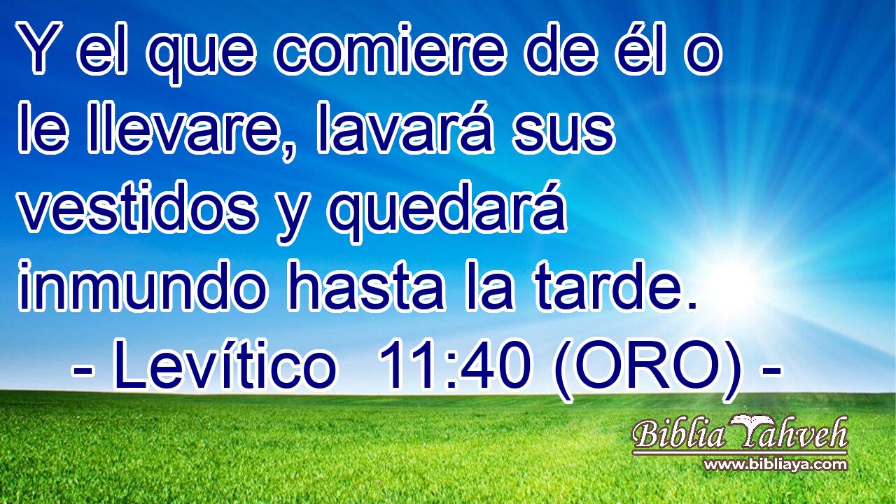  Y el que comiere de él o le llevare, lavará sus vestidos y quedará inmundo hasta la tarde. 