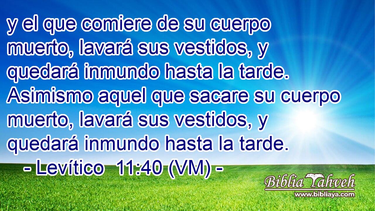  y el que comiere de su cuerpo muerto, lavará sus vestidos, y quedará inmundo hasta la tarde. Asimismo aquel que sacare su cuerpo muerto, lavará sus vestidos, y quedará inmundo hasta la tarde. 