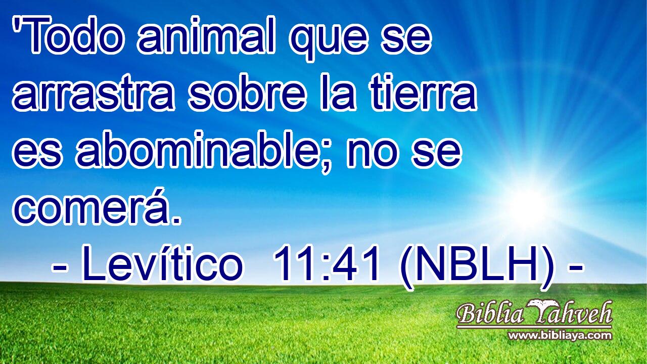  'Todo animal que se arrastra sobre la tierra es abominable; no se comerá. 