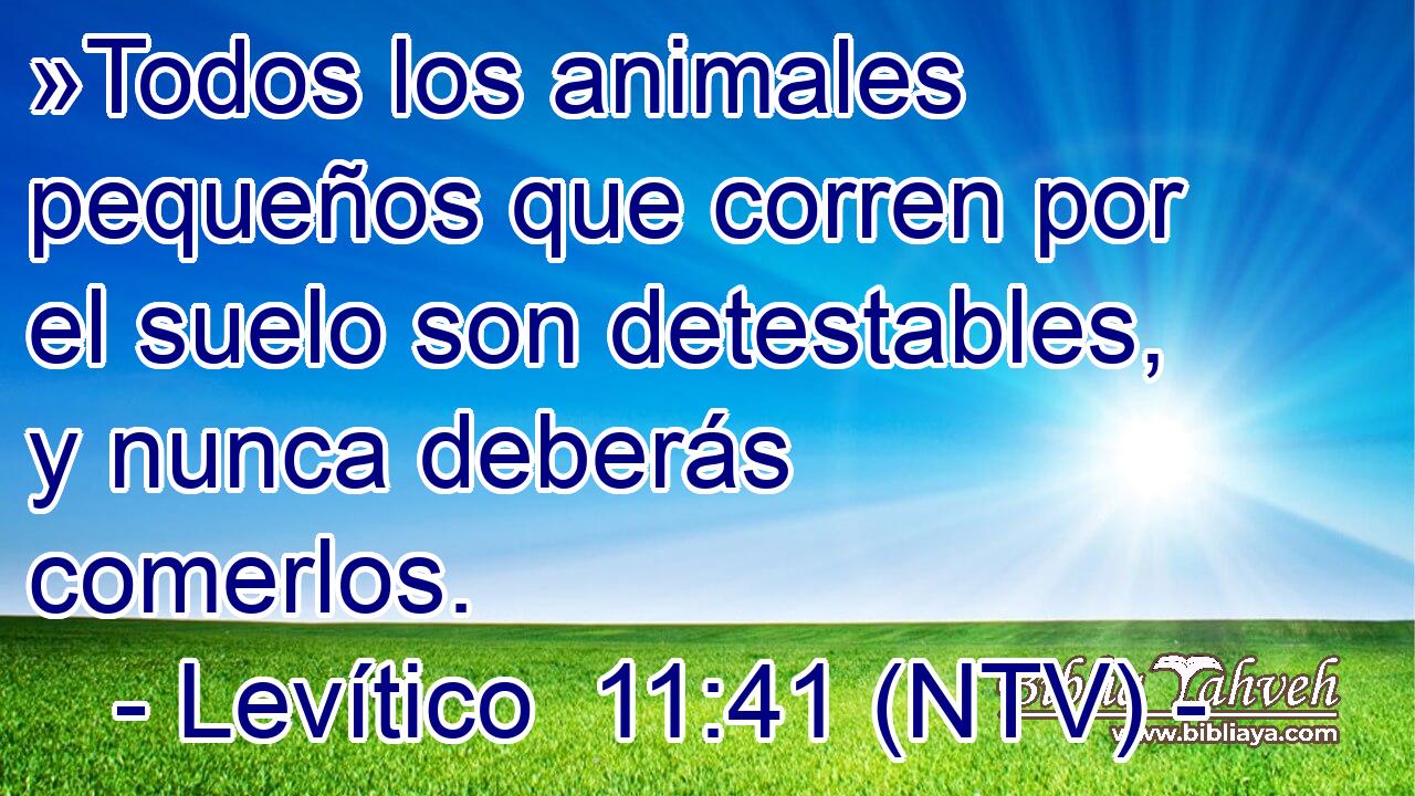 »Todos los animales pequeños que corren por el suelo son detestables, y nunca deberás comerlos.