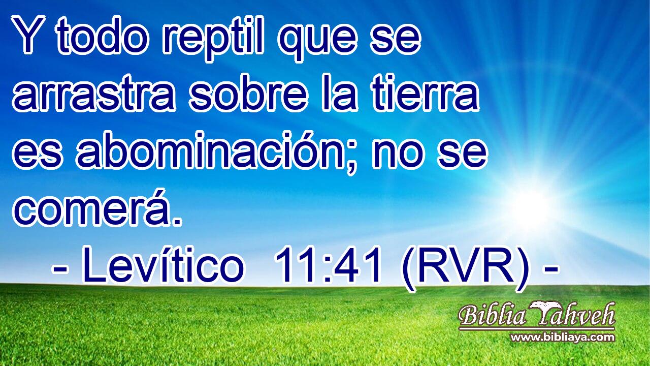 Y todo reptil que se arrastra sobre la tierra es abominación; no se comerá.