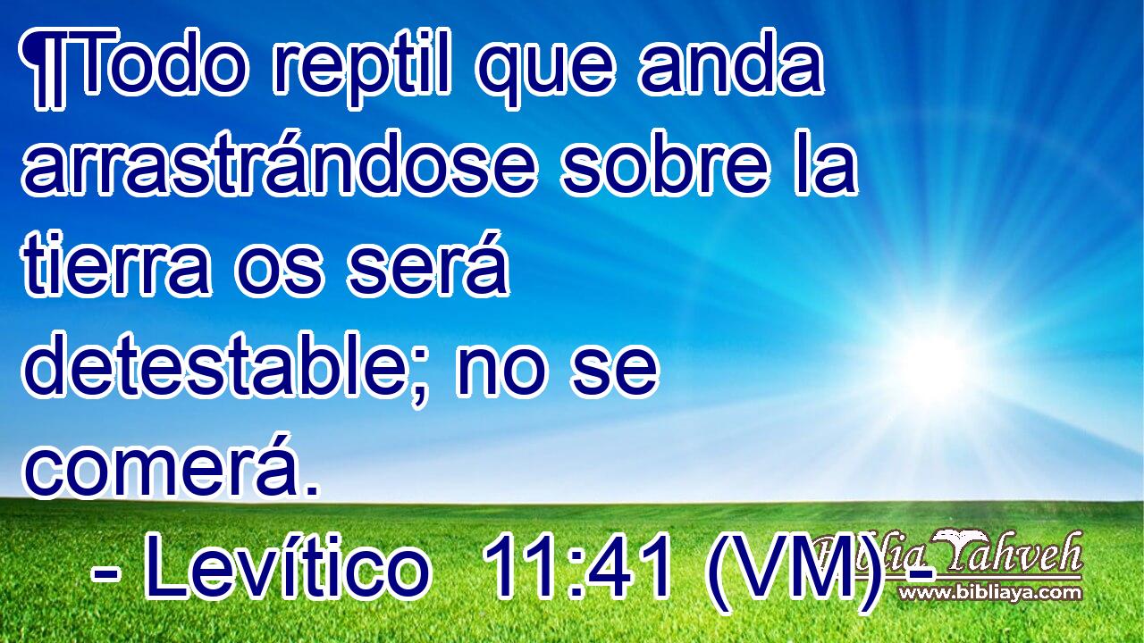  ¶Todo reptil que anda arrastrándose sobre la tierra os será detestable; no se comerá. 