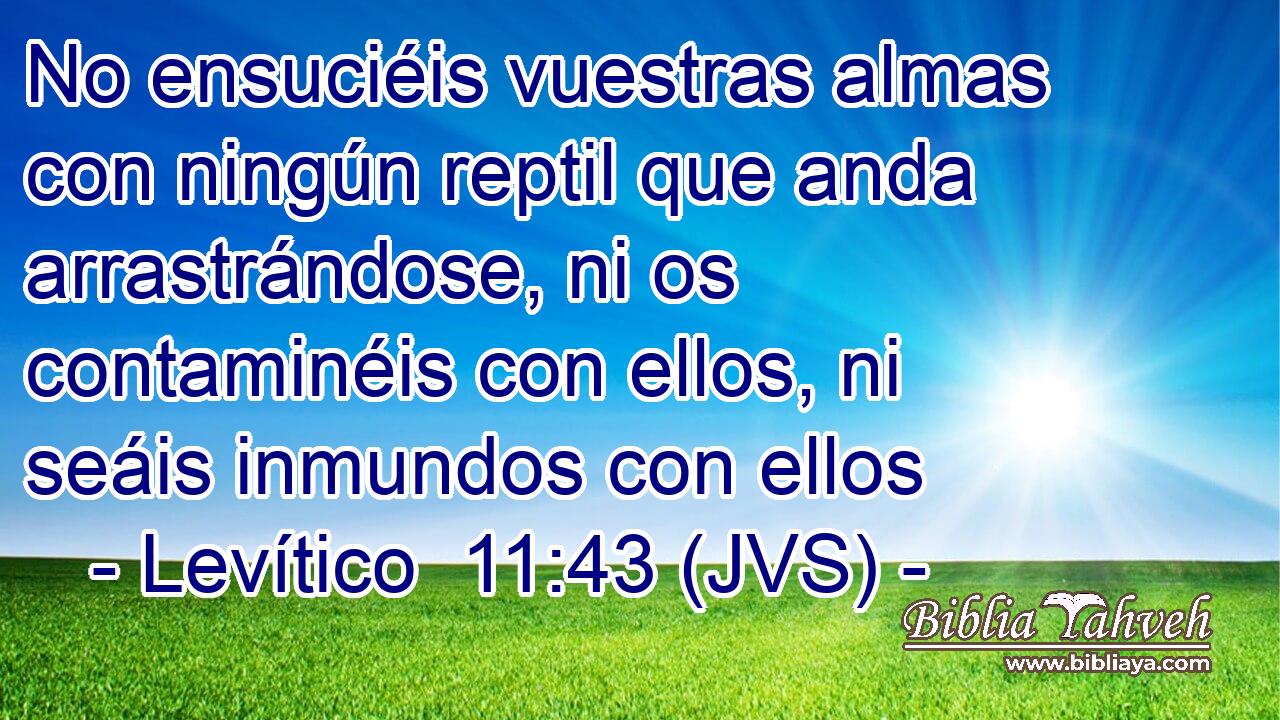 No ensuciéis vuestras almas con ningún reptil que anda arrastrándose, ni os contaminéis con ellos, ni seáis inmundos con ellos