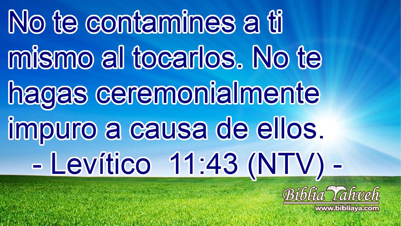 No te contamines a ti mismo al tocarlos. No te hagas ceremonialmente impuro a causa de ellos.