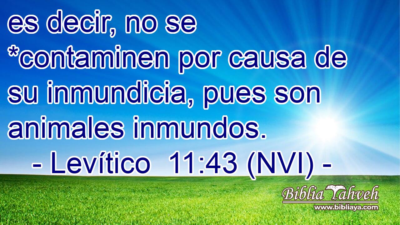  es decir, no se *contaminen por causa de su inmundicia, pues son animales inmundos. 