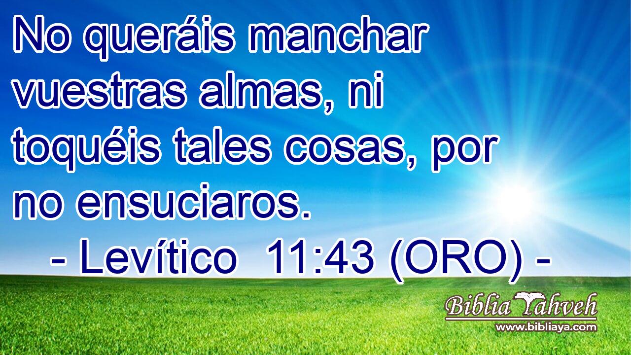  No queráis manchar vuestras almas, ni toquéis tales cosas, por no ensuciaros. 