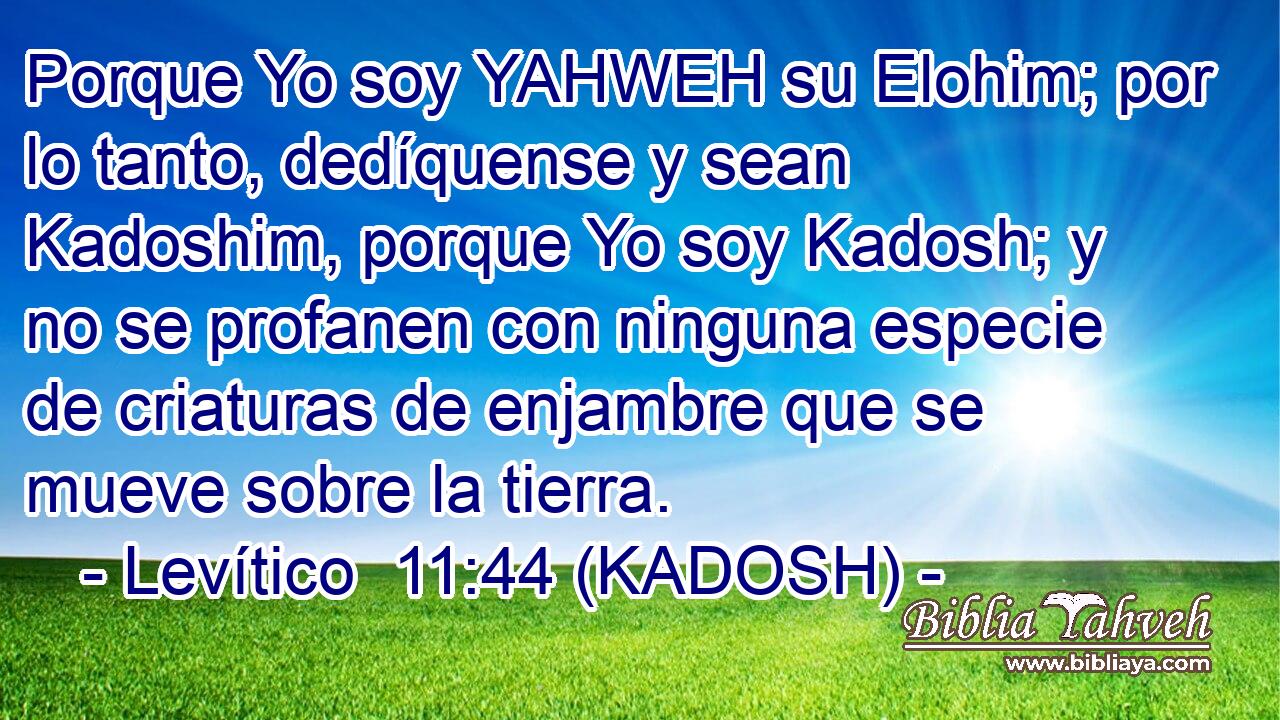 Porque Yo soy YAHWEH su Elohim; por lo tanto, dedíquense y sean Kadoshim, porque Yo soy Kadosh; y no se profanen con ninguna especie de criaturas de enjambre que se mueve sobre la tierra. 
