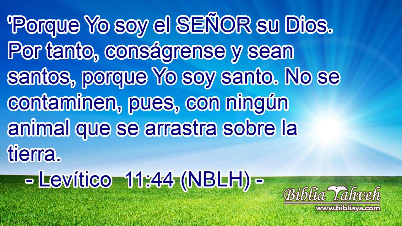  'Porque Yo soy el SEÑOR su Dios. Por tanto, conságrense y sean santos, porque Yo soy santo. No se contaminen, pues, con ningún animal que se arrastra sobre la tierra. 