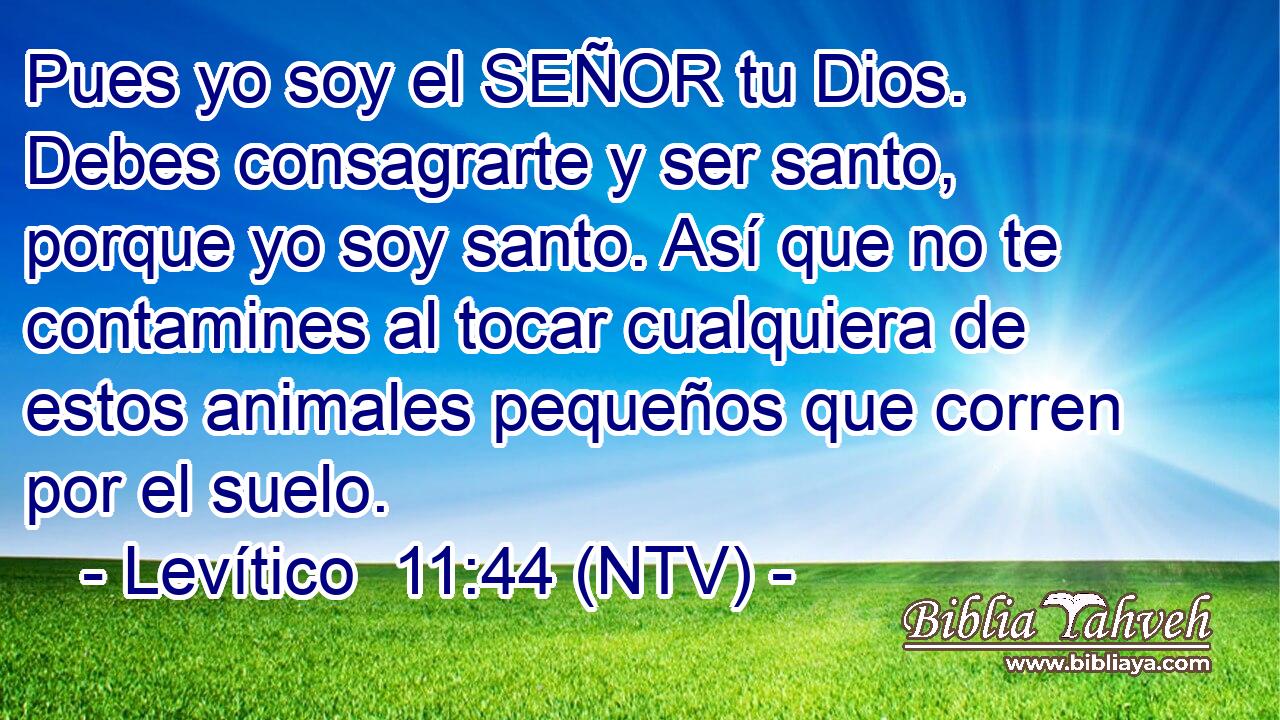Pues yo soy el SEÑOR tu Dios. Debes consagrarte y ser santo, porque yo soy santo. Así que no te contamines al tocar cualquiera de estos animales pequeños que corren por el suelo.