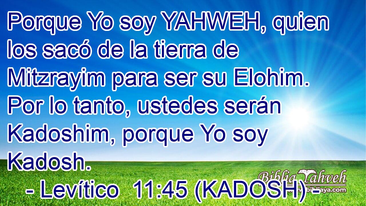  Porque Yo soy YAHWEH, quien los sacó de la tierra de Mitzrayim para ser su Elohim. Por lo tanto, ustedes serán Kadoshim, porque Yo soy Kadosh. 