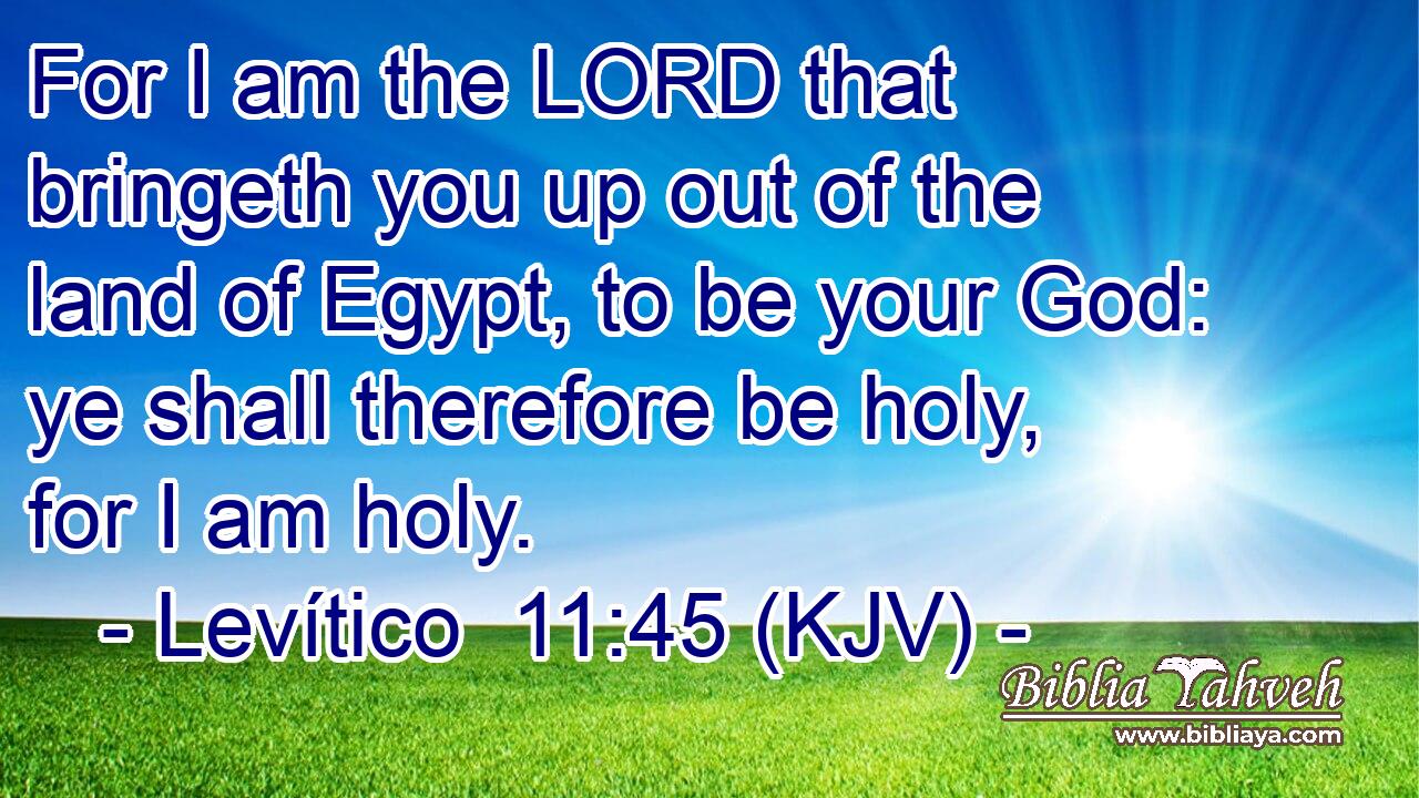 For I am the LORD that bringeth you up out of the land of Egypt, to be your God: ye shall therefore be holy, for I am holy.