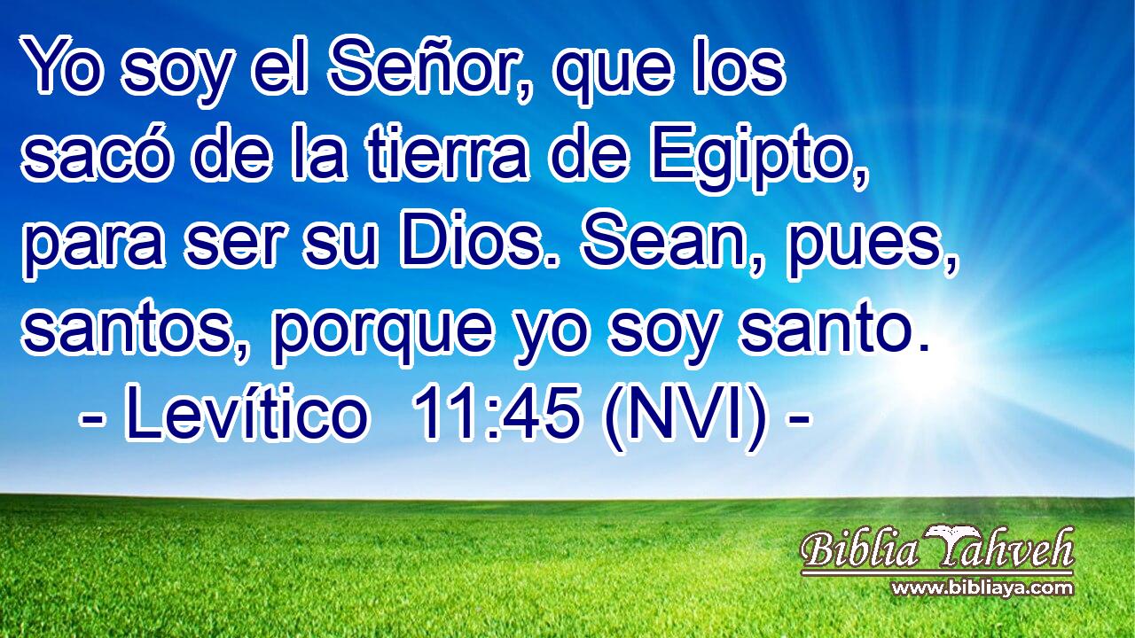  Yo soy el Señor, que los sacó de la tierra de Egipto, para ser su Dios. Sean, pues, santos, porque yo soy santo. 