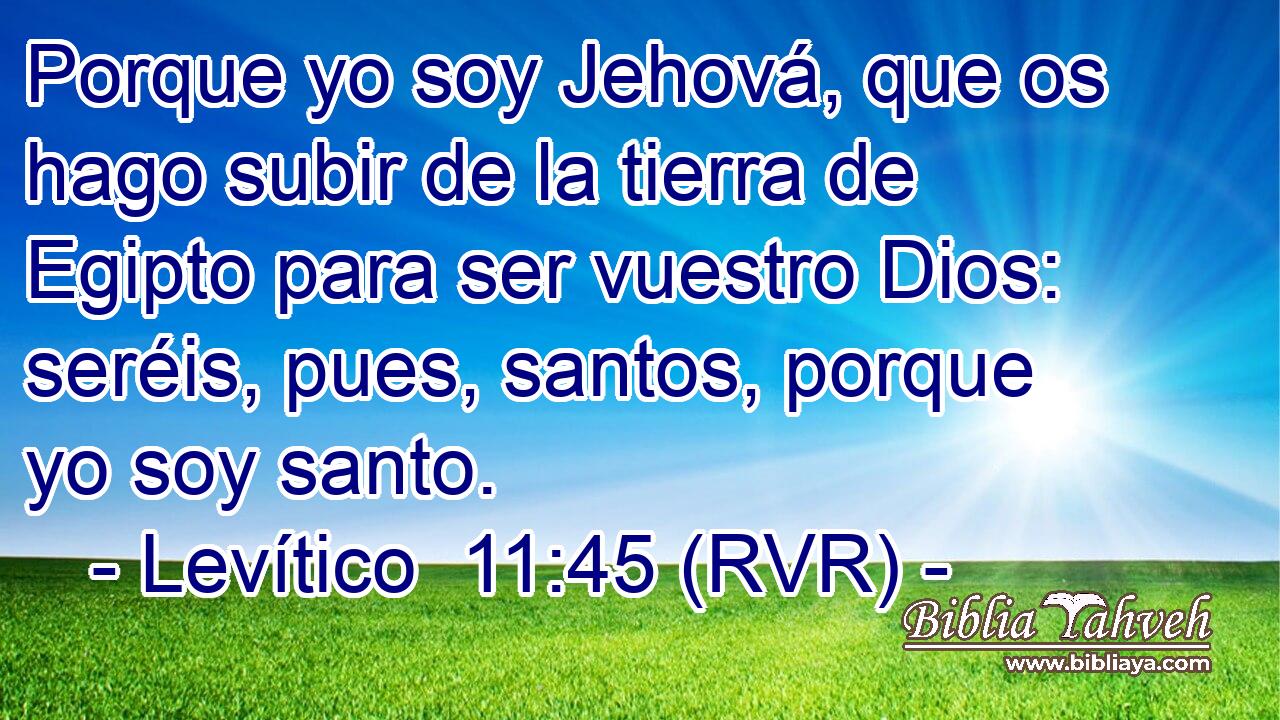 Porque yo soy Jehová, que os hago subir de la tierra de Egipto para ser vuestro Dios: seréis, pues, santos, porque yo soy santo.