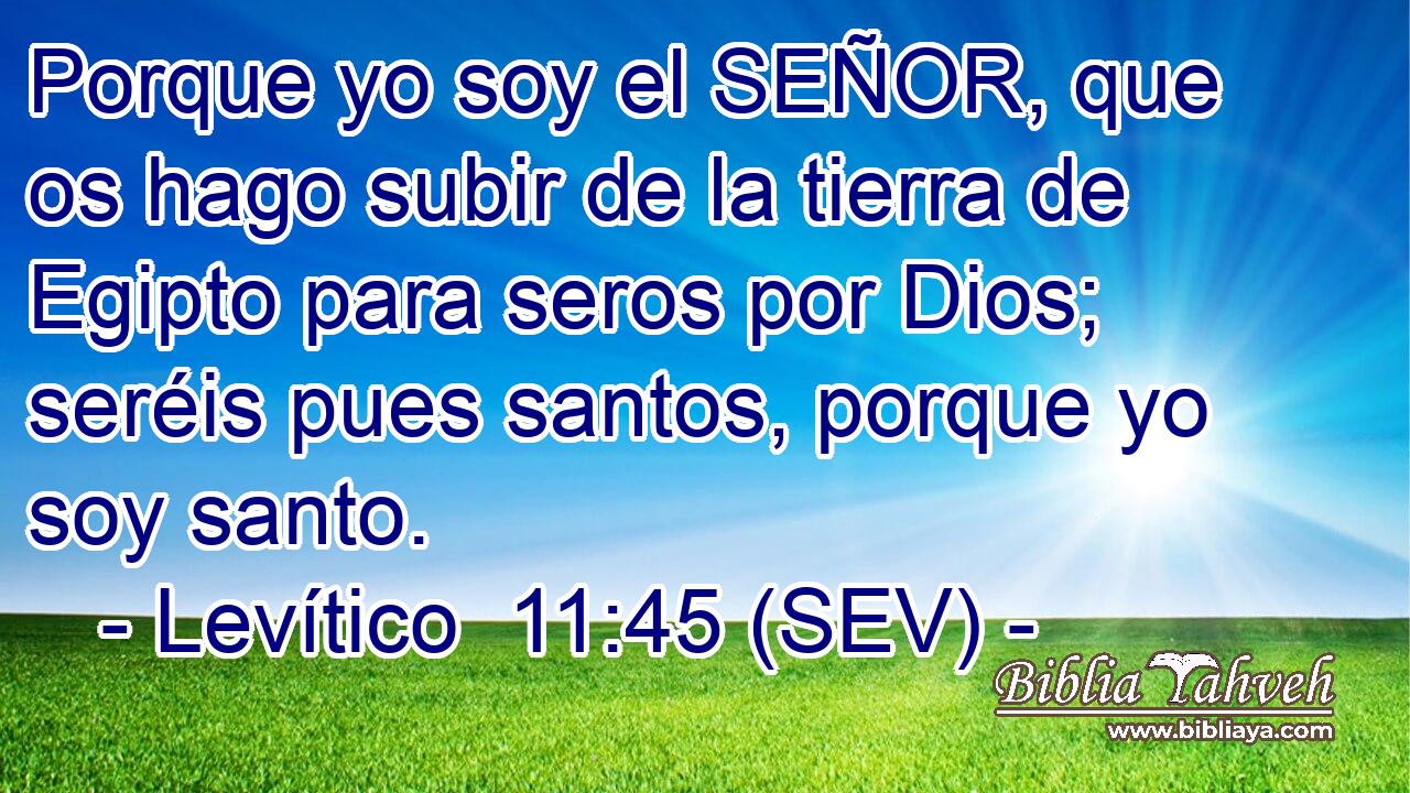 Porque yo soy el SEÑOR, que os hago subir de la tierra de Egipto para seros por Dios; seréis pues santos, porque yo soy santo.