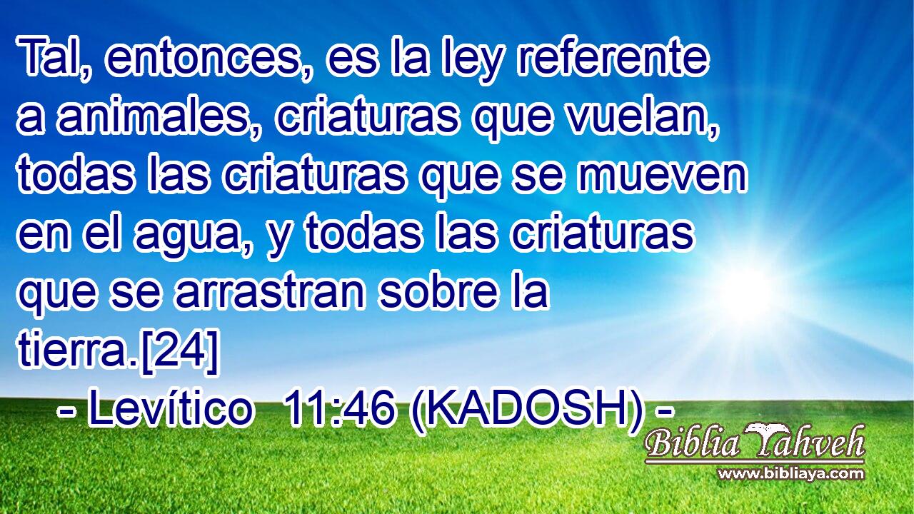  Tal, entonces, es la ley referente a animales, criaturas que vuelan, todas las criaturas que se mueven en el agua, y todas las criaturas que se arrastran sobre la tierra.[24] 