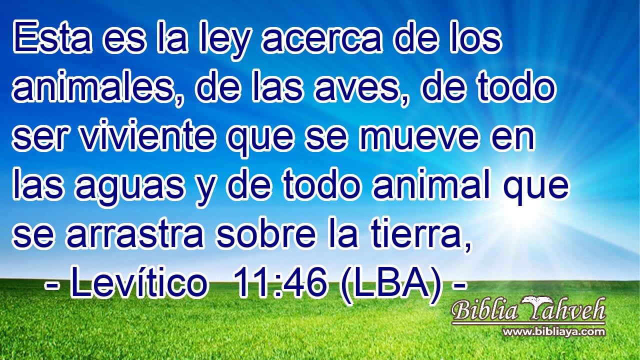 Esta es la ley acerca de los animales, de las aves, de todo ser viviente que se mueve en las aguas y de todo animal que se arrastra sobre la tierra,