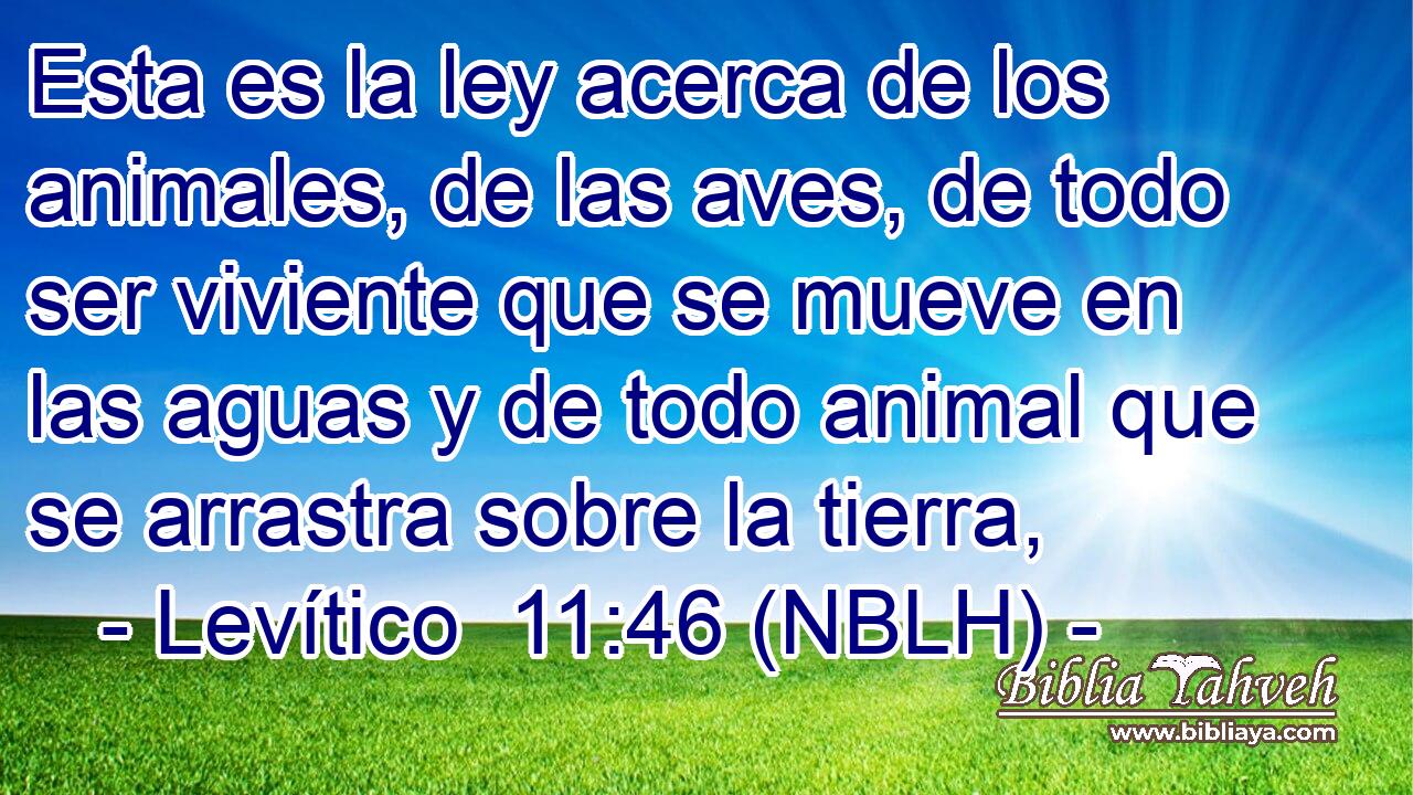  Esta es la ley acerca de los animales, de las aves, de todo ser viviente que se mueve en las aguas y de todo animal que se arrastra sobre la tierra, 