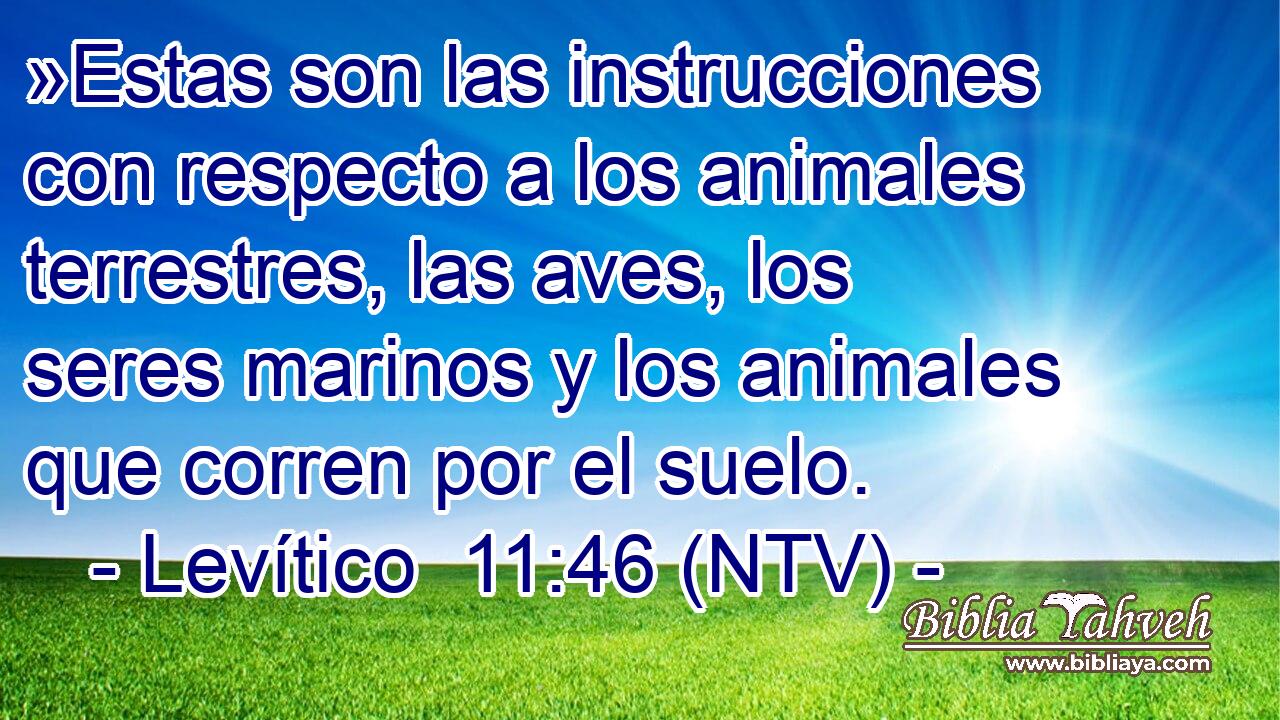 »Estas son las instrucciones con respecto a los animales terrestres, las aves, los seres marinos y los animales que corren por el suelo.