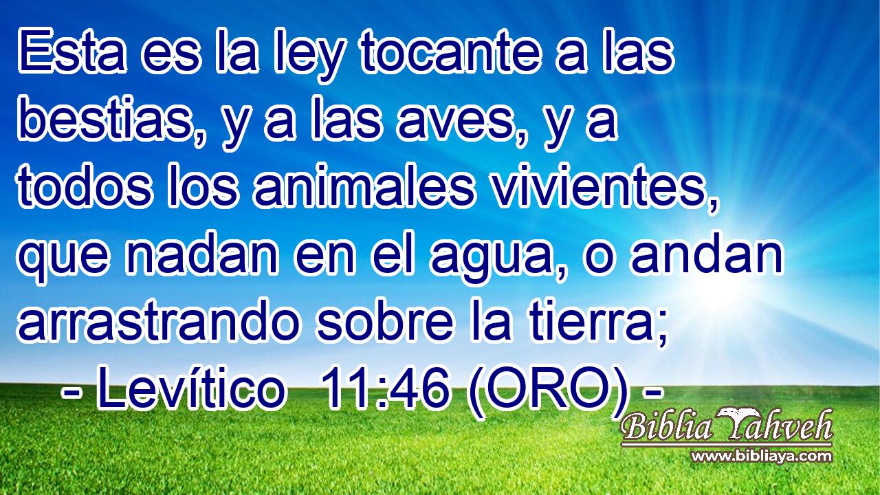  Esta es la ley tocante a las bestias, y a las aves, y a todos los animales vivientes, que nadan en el agua, o andan arrastrando sobre la tierra; 