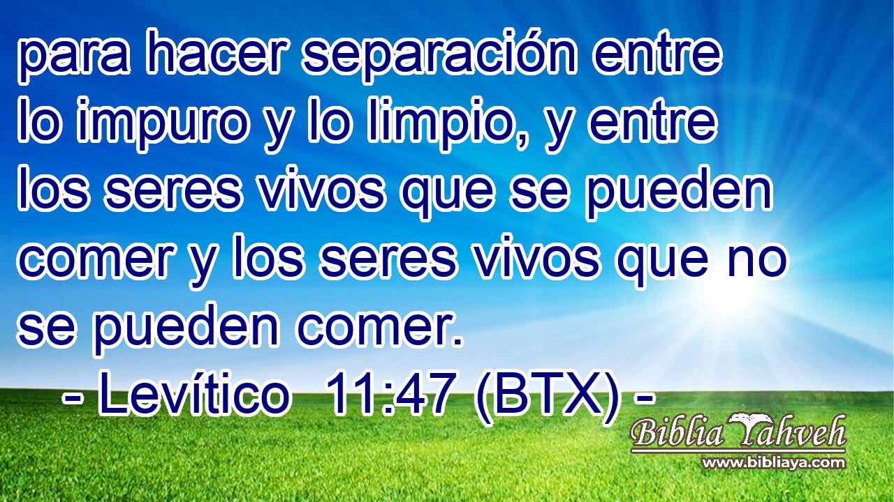 para hacer separación entre lo impuro y lo limpio, y entre los seres vivos que se pueden comer y los seres vivos que no se pueden comer.