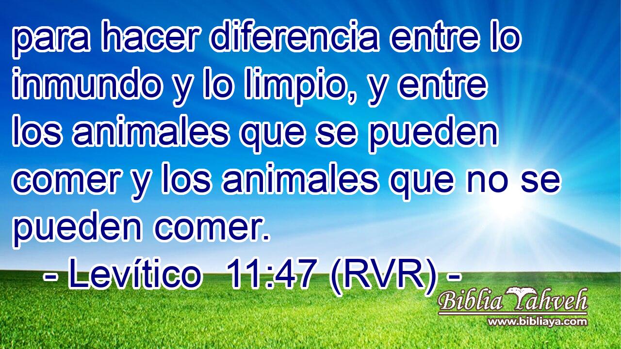 para hacer diferencia entre lo inmundo y lo limpio, y entre los animales que se pueden comer y los animales que no se pueden comer.
