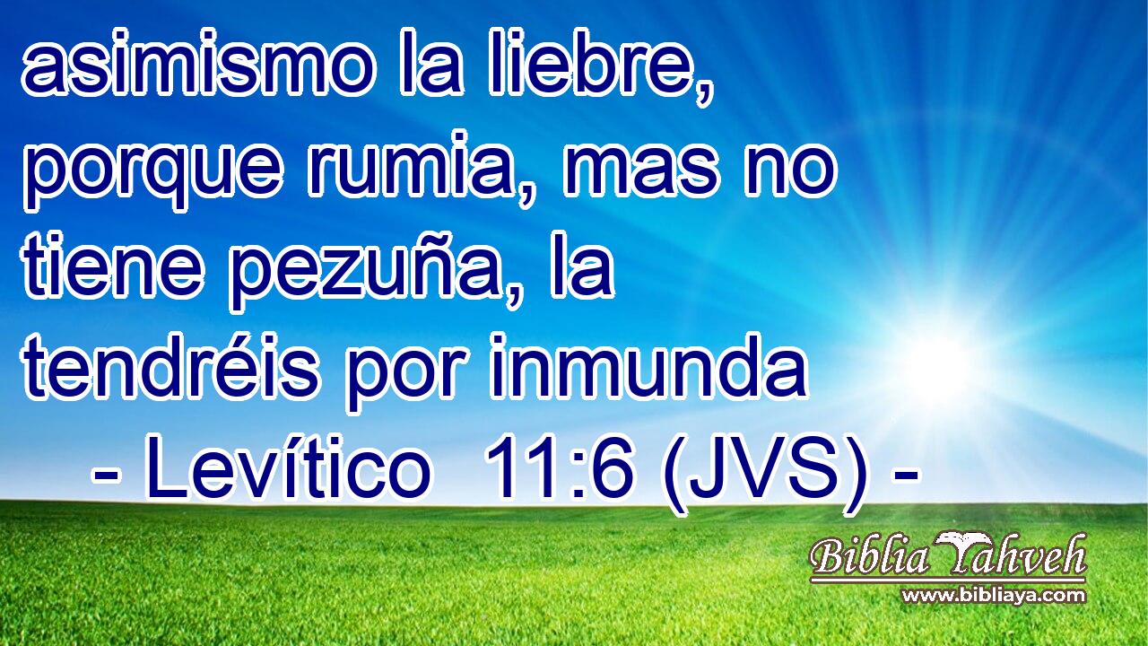 asimismo la liebre, porque rumia, mas no tiene pezuña, la tendréis por inmunda