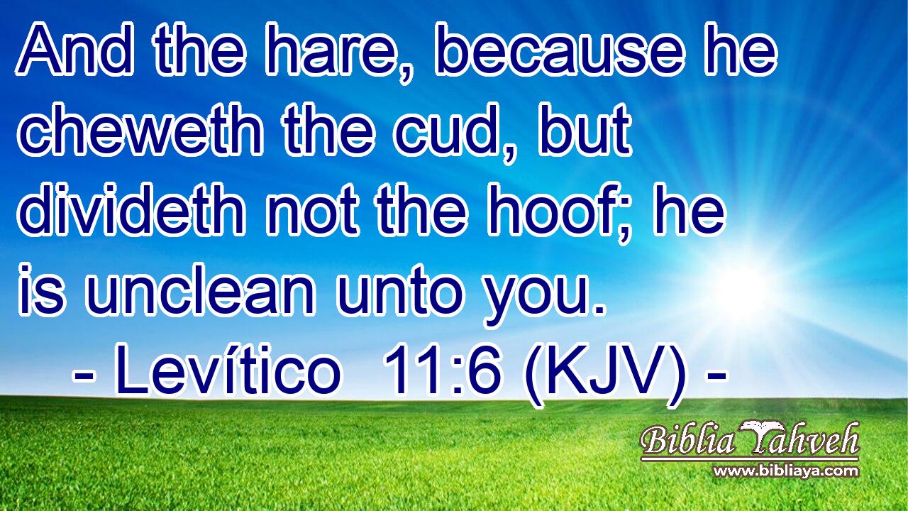 And the hare, because he cheweth the cud, but divideth not the hoof; he is unclean unto you.