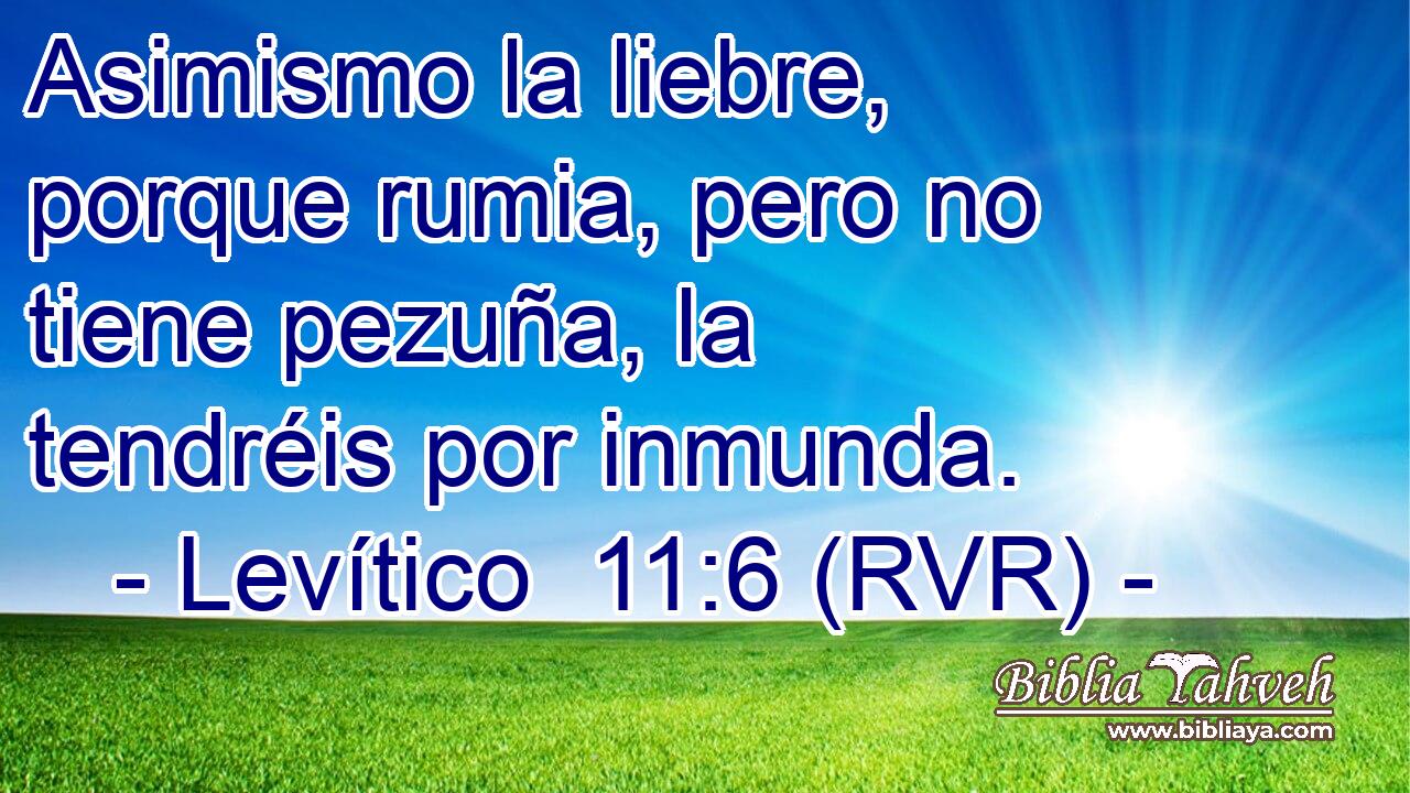 Asimismo la liebre, porque rumia, pero no tiene pezuña, la tendréis por inmunda.