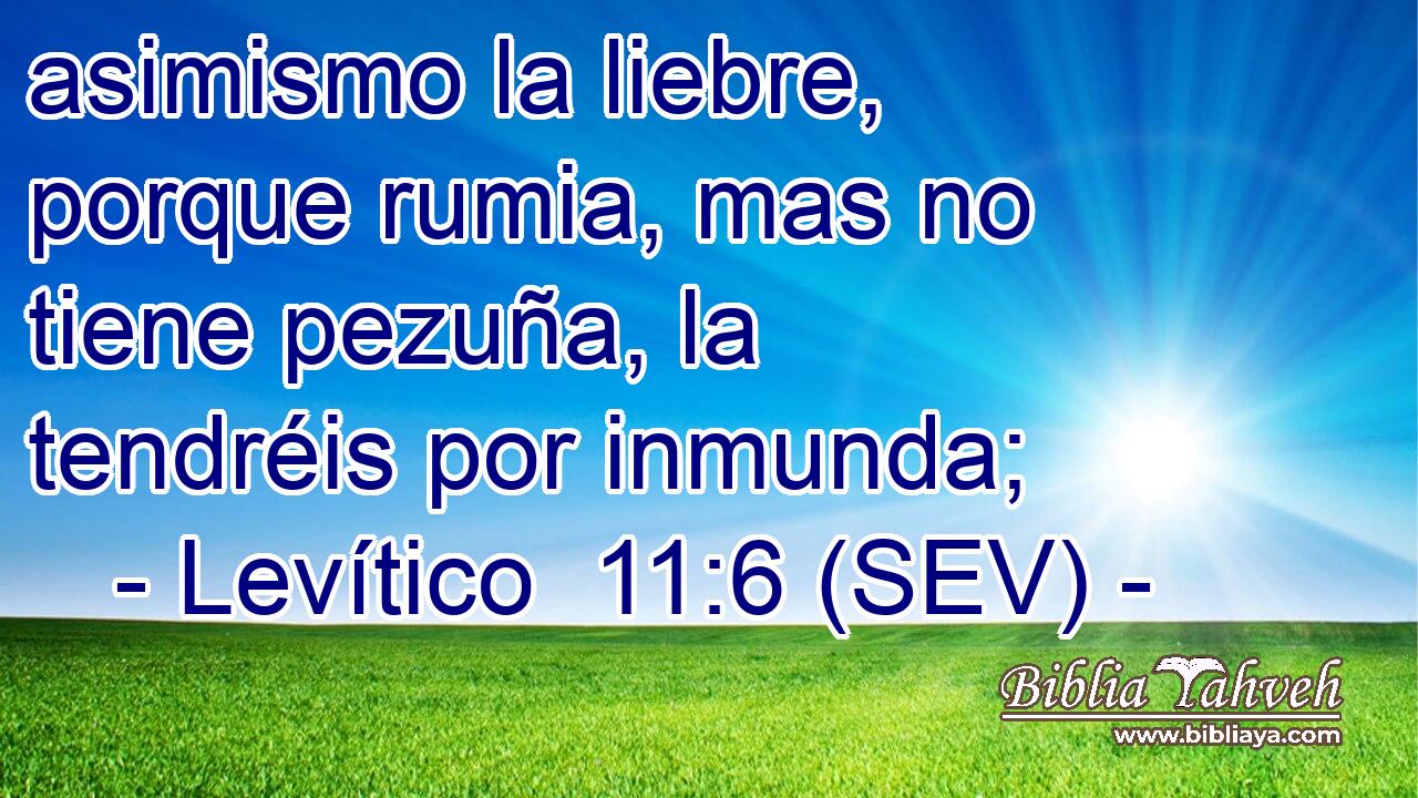 asimismo la liebre, porque rumia, mas no tiene pezuña, la tendréis por inmunda;