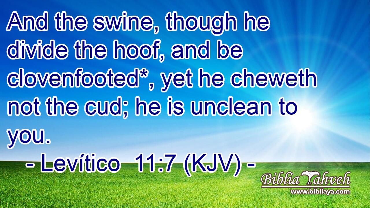 And the swine, though he divide the hoof, and be clovenfooted*, yet he cheweth not the cud; he is unclean to you.