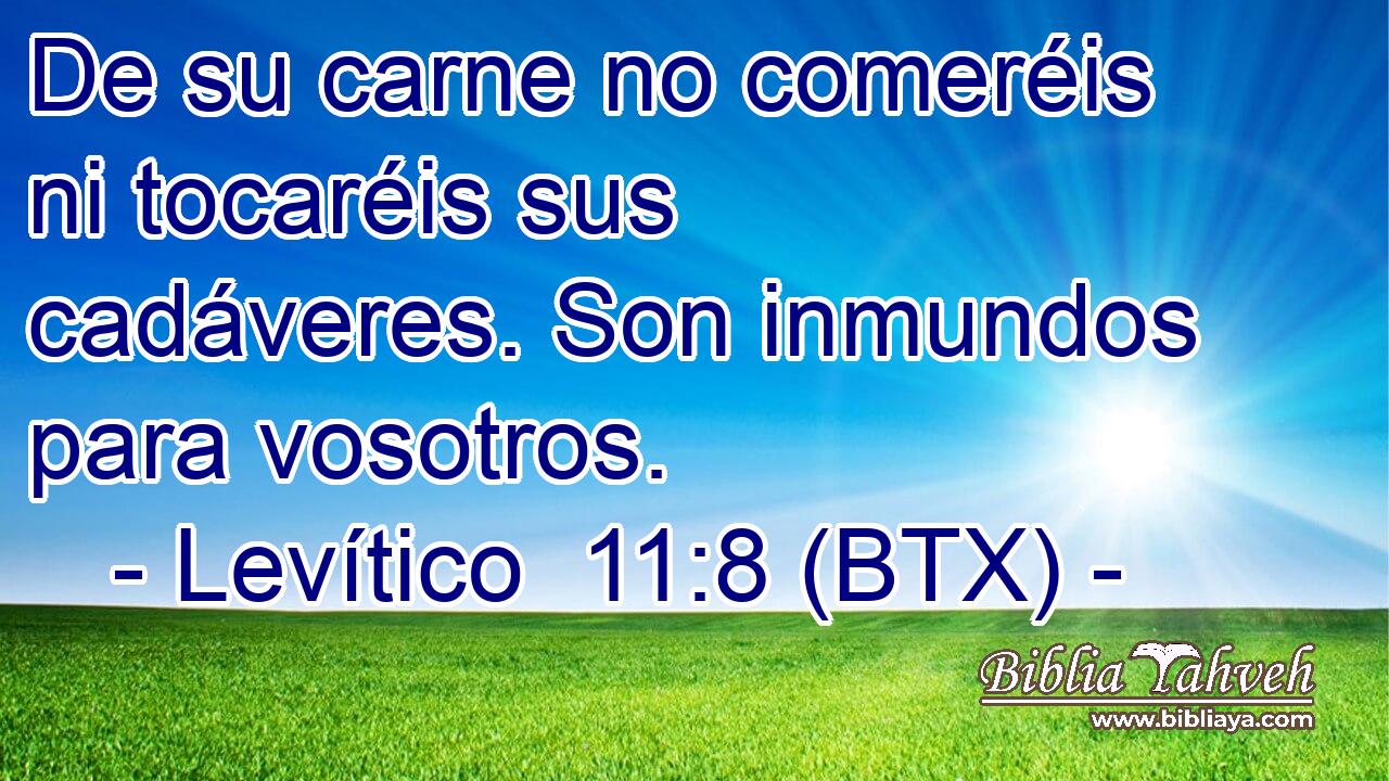 De su carne no comeréis ni tocaréis sus cadáveres. Son inmundos para vosotros.