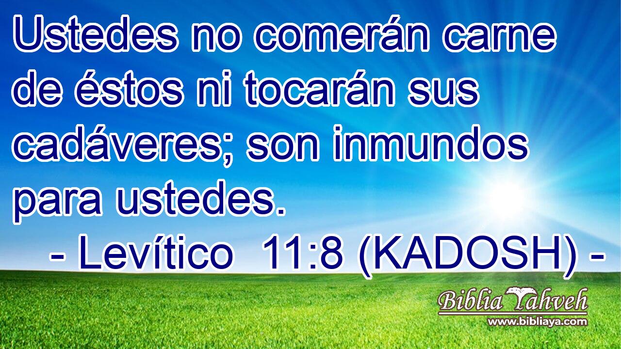  Ustedes no comerán carne de éstos ni tocarán sus cadáveres; son inmundos para ustedes. 
