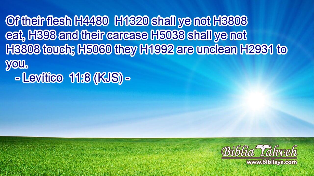 Of their flesh H4480  H1320 shall ye not H3808 eat, H398 and their carcase H5038 shall ye not H3808 touch; H5060 they H1992 are unclean H2931 to you.