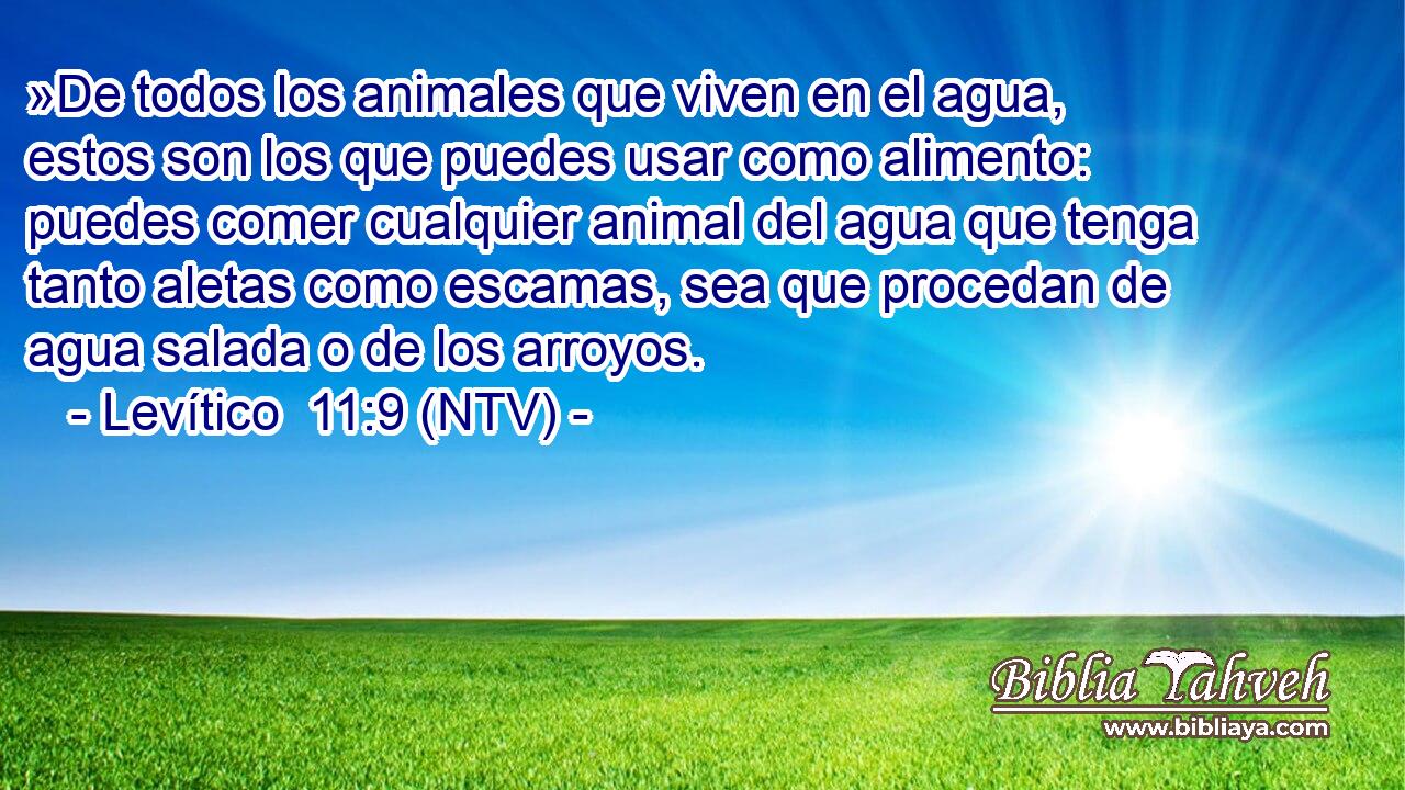 »De todos los animales que viven en el agua, estos son los que puedes usar como alimento: puedes comer cualquier animal del agua que tenga tanto aletas como escamas, sea que procedan de agua salada o de los arroyos.