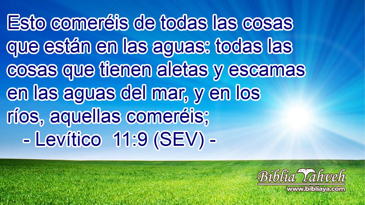 Esto comeréis de todas las cosas que están en las aguas: todas las cosas que tienen aletas y escamas en las aguas del mar, y en los ríos, aquellas comeréis;