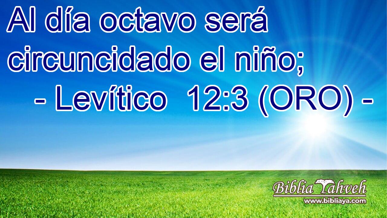  Al día octavo será circuncidado el niño; 