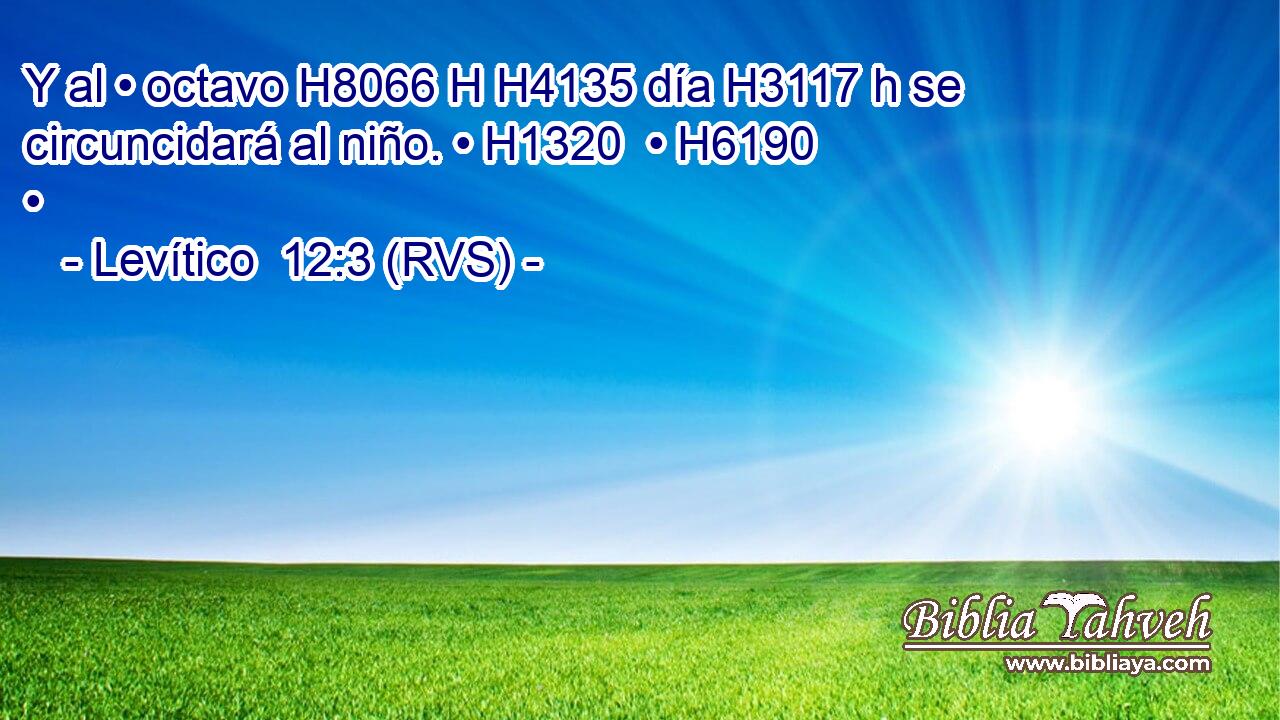 Y al • octavo H8066 H H4135 día H3117 h se circuncidará al niño. • H1320  • H6190  • 