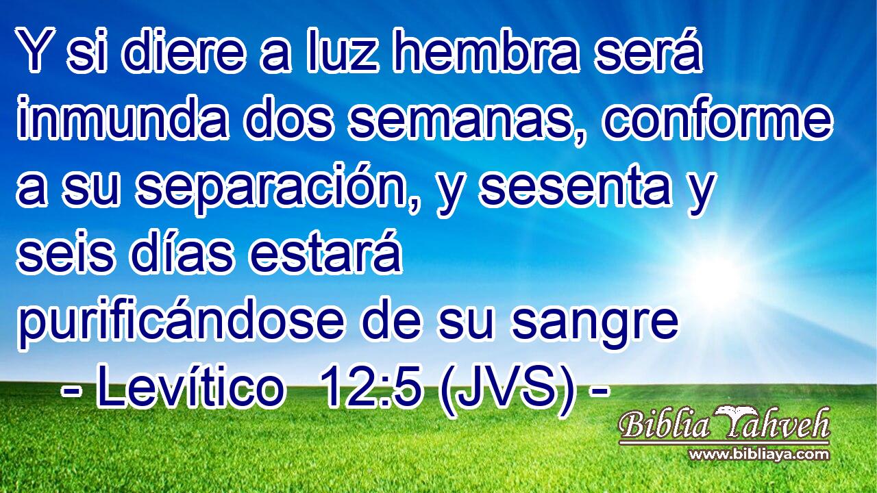 Y si diere a luz hembra será inmunda dos semanas, conforme a su separación, y sesenta y seis días estará purificándose de su sangre