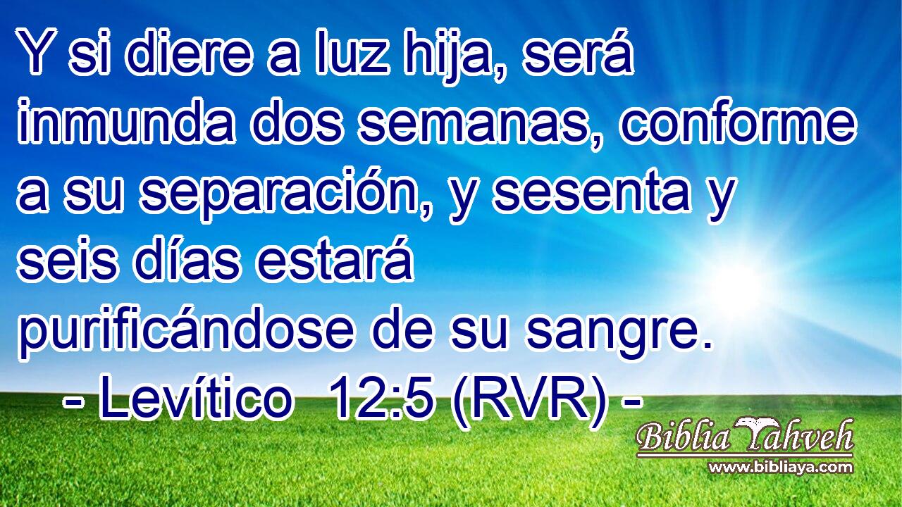 Y si diere a luz hija, será inmunda dos semanas, conforme a su separación, y sesenta y seis días estará purificándose de su sangre.