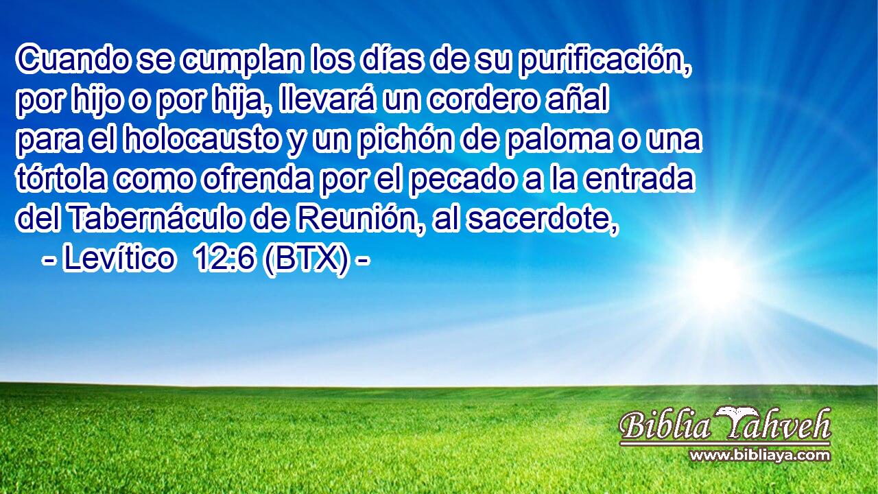 Cuando se cumplan los días de su purificación, por hijo o por hija, llevará un cordero añal para el holocausto y un pichón de paloma o una tórtola como ofrenda por el pecado a la entrada del Tabernáculo de Reunión, al sacerdote,