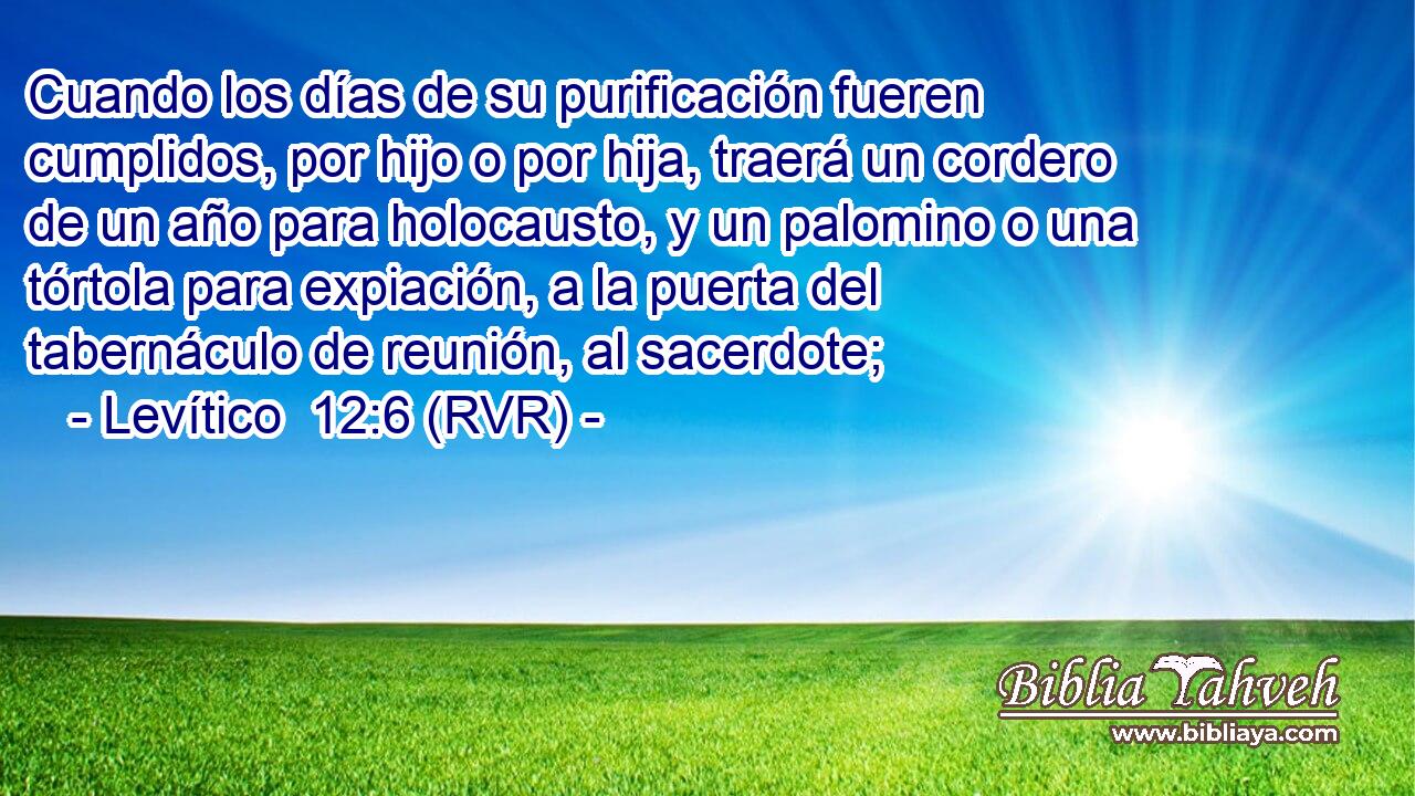 Cuando los días de su purificación fueren cumplidos, por hijo o por hija, traerá un cordero de un año para holocausto, y un palomino o una tórtola para expiación, a la puerta del tabernáculo de reunión, al sacerdote;